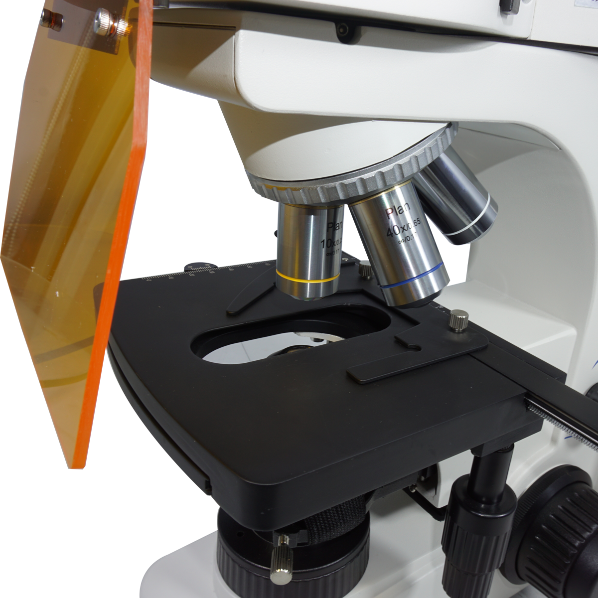 Fluorescence Microscope